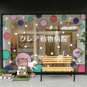 窓装飾｜カラフル施工例